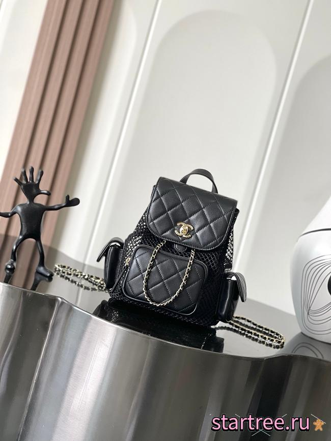 Chanel Backpack, Mesh, shiny lambskin-25*23*13cm - 1