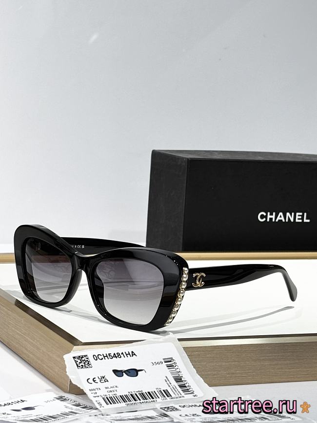 Chanel Sunglasses 012 - 1