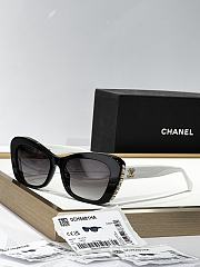 Chanel Sunglasses 012 - 2