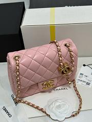 Chanel 25B Classic Flap Bag Pink-17cm - 6