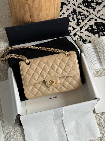 Chanel Small Classic Flap Bag Beige Gold Hardware-23cm