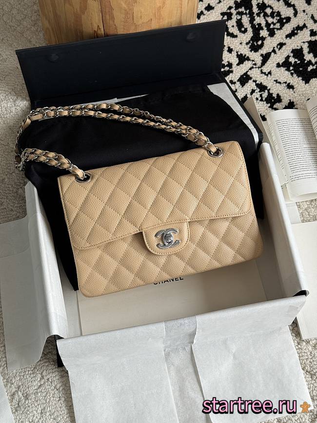 Chanel Small Classic Flap Bag Beige Silver Hardware-23cm - 1