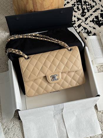 Chanel Small Classic Flap Bag Beige Silver Hardware-23cm