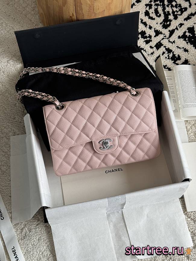 Chanel Small Classic Flap Bag Pink Silver Hardware-23cm - 1