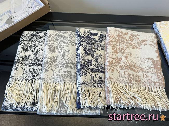 Dior Scarf 006 - 1