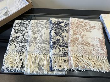 Dior Scarf 006