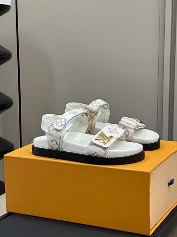 Louis Vuitton Slippers 029