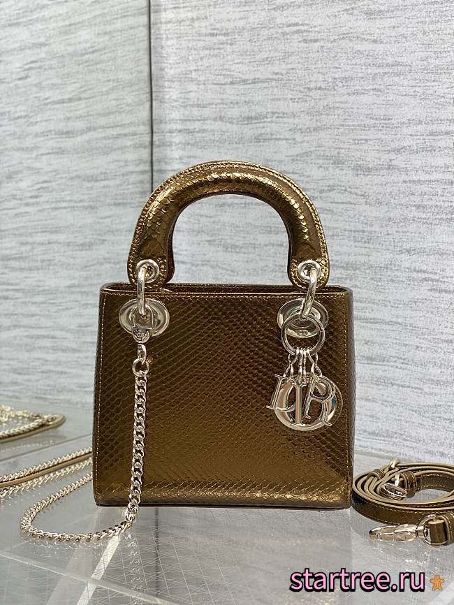 Christian Dior Mini Python Lady Dior 001-17cm - 1