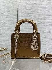 Christian Dior Mini Python Lady Dior 001-17cm - 1