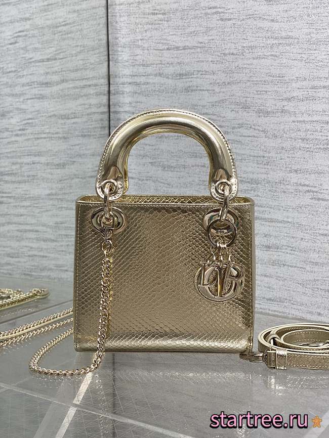 Christian Dior Mini Python Lady Dior 002-17cm - 1