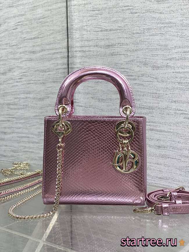 Christian Dior Mini Python Lady Dior 003-17cm - 1