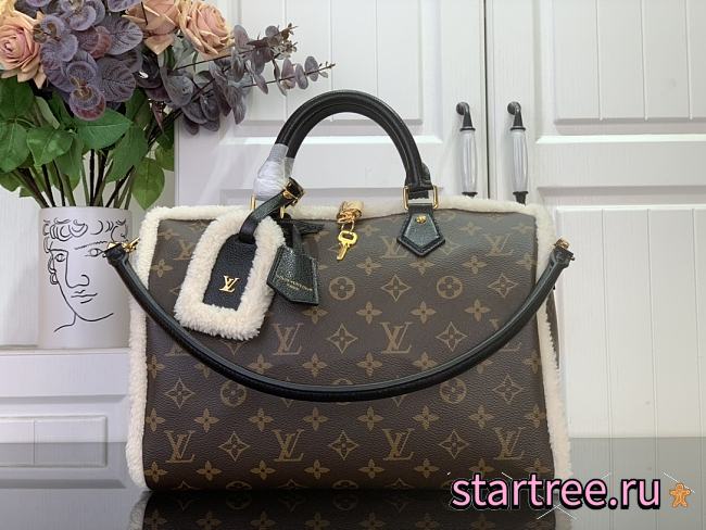 Louis Vuitton Speedy Soft 30 Teddy H33 - Women Bags - 1