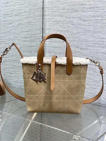 Dior Small DiorAlps Toujours Vertical Handbag Beige Suede-18.5*18.8*12cm