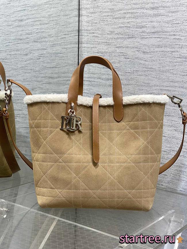 Dior Medium DiorAlps Toujours Vertical Handbag Beige Suede-23*25*11cm - 1