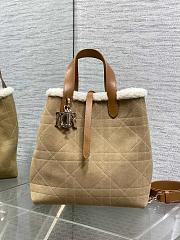 Dior Medium DiorAlps Toujours Vertical Handbag Beige Suede-23*25*11cm - 5