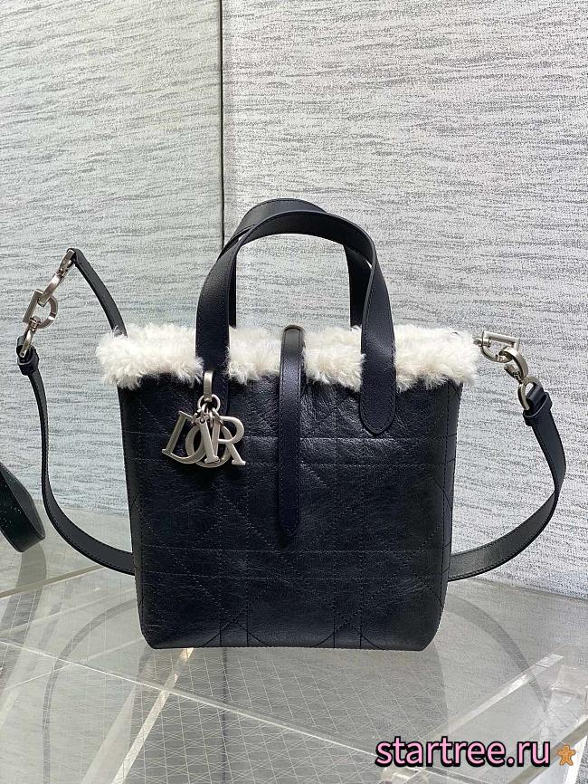 Dior Small DiorAlps Toujours Vertical Handbag Black-18.5*18.8*12cm - 1