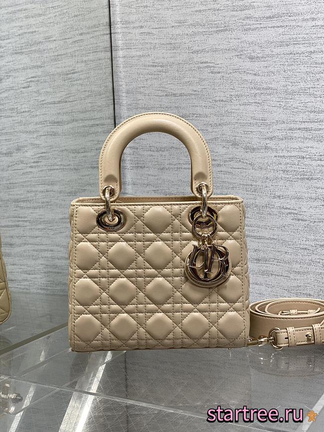 Dior Small Lady Bag 010-20*8*17cm - 1