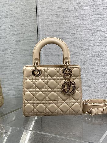 Dior Small Lady Bag 010-20*8*17cm