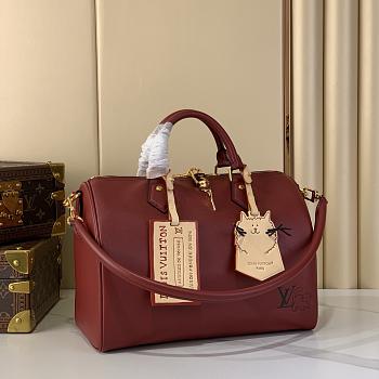 Louis Vuitton Speedy Soft M25766-30