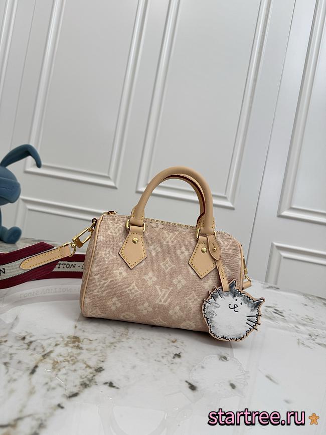 Louis Vuitton Speedy 20 M15151-20cm - 1
