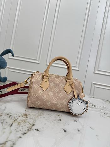 Louis Vuitton Speedy 20 M15151-20cm