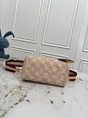 Louis Vuitton Speedy 20 M15151-20cm - 4