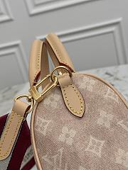 Louis Vuitton Speedy 20 M15151-20cm - 2