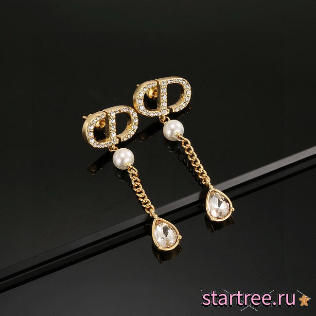 Dior Earrings 015 - 1