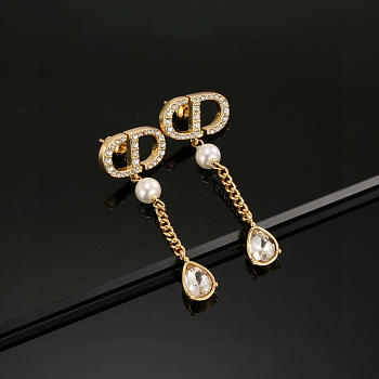 Dior Earrings 015