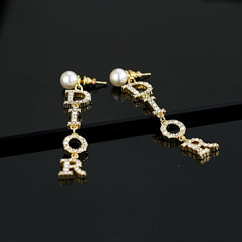 Dior Earrings 016