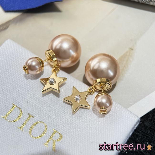 Dior Earrings 017 - 1