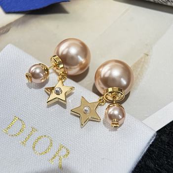 Dior Earrings 017
