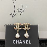 Chanel Earrings 035 - 1