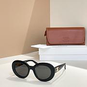 Celine Sunglasses 002 - 5