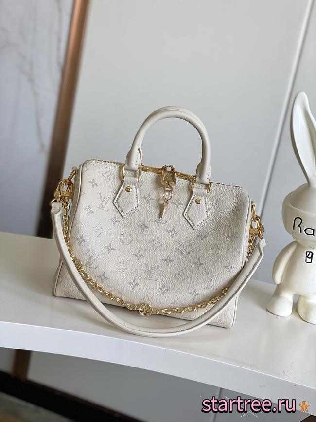 Louis Vuitton Speedy Bandoulière 25 M26690 - 1
