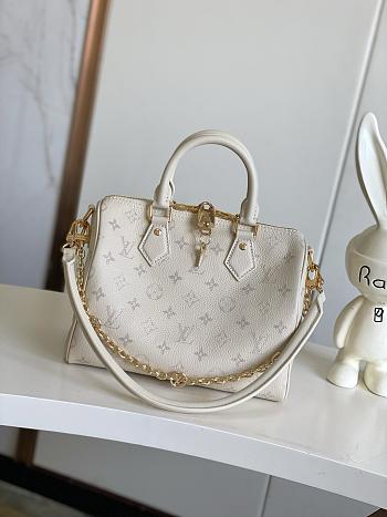 Louis Vuitton Speedy Bandoulière 25 M26690