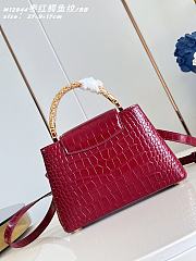 Louis Vuitton Capucines PM Red M12944-27 x 18 x 9 cm - 2