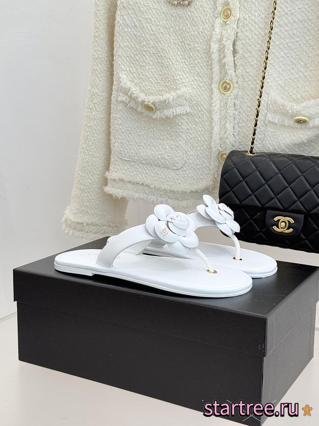 Chanel Slippers 018 - 1