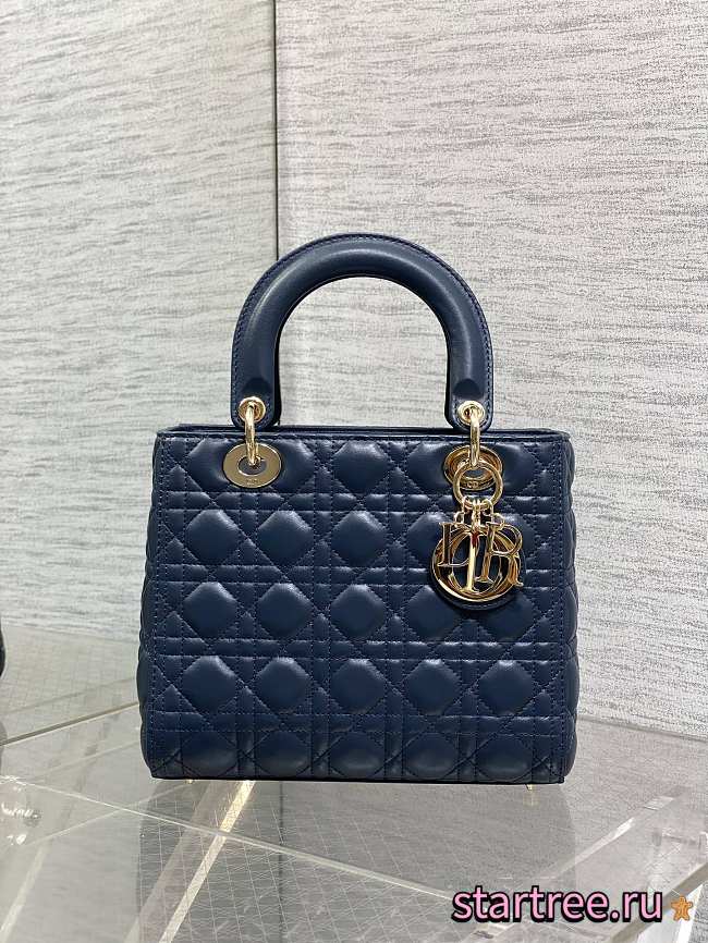 Dior Medium Lady Dior Lamskin Leather 011-24cm - 1