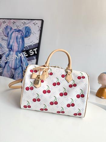 Louis Vuitton Speedy Soft M14238-30cm