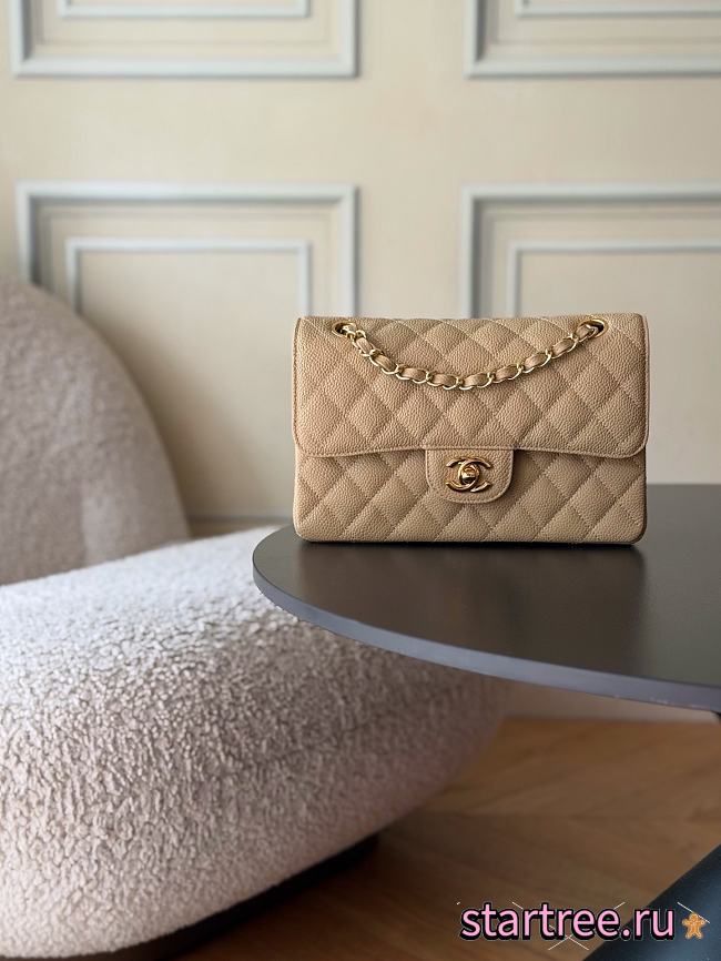 Chanel Small Classic Double Flap Caviar Gold Hardware-23cm - 1