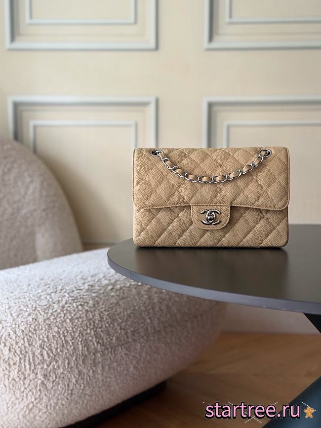 Chanel Small Classic Double Flap Caviar Silver Hardware-23cm - 1