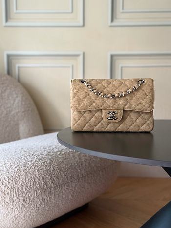 Chanel Small Classic Double Flap Caviar Silver Hardware-23cm