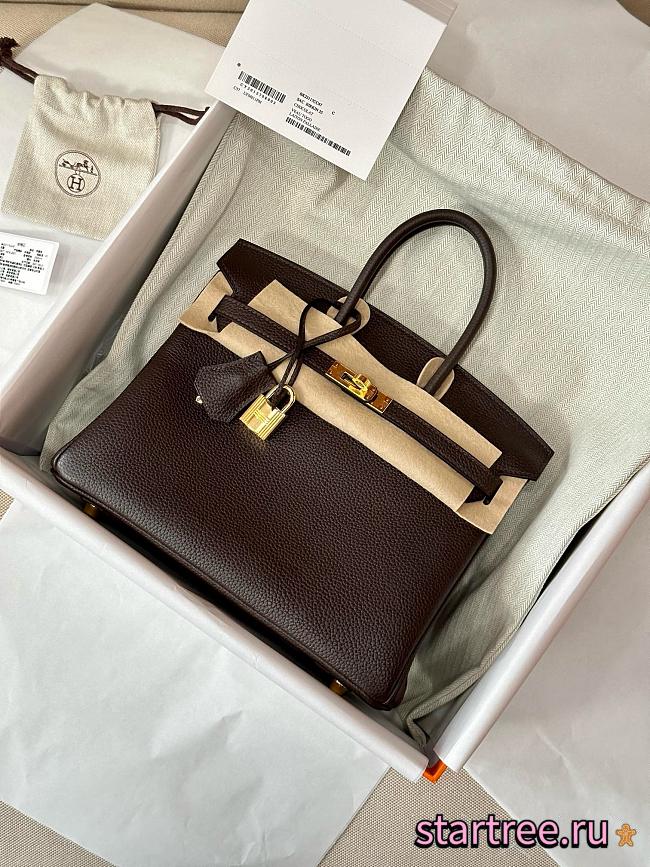 Hermes 25 Birkin Bag In Tago leather Chocolate and Gold Hardware - 1