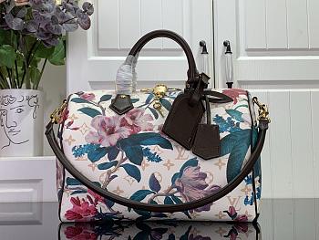 Louis Vuitton Speedy Soft 30 Monogram Eden M29066-30CM