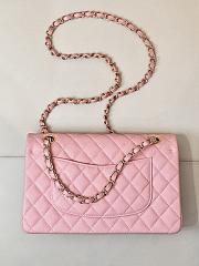Chanel Classic Flap Caviar Bag Gold Hardware Pink-25cm 001 - 3