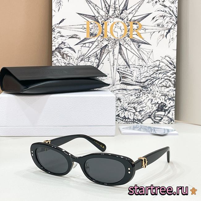 Dior Sunglasses 007 - 1