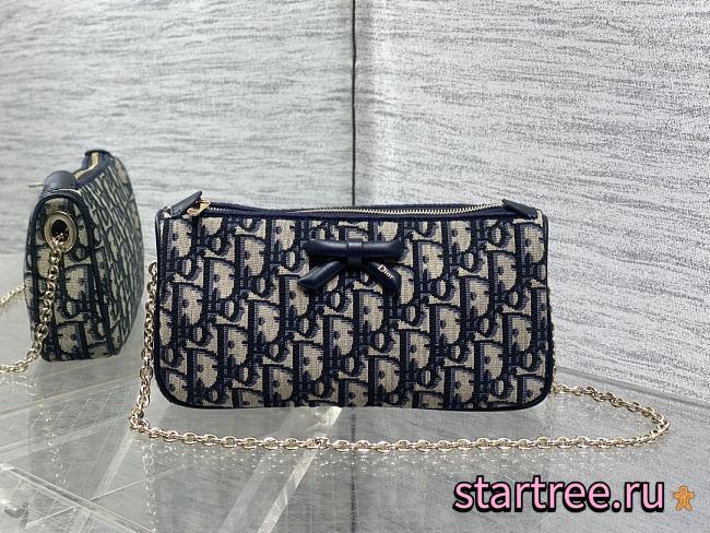 Dior Promenade Chain Handbag- 22 x 11.5 x 4.5 cm - 1