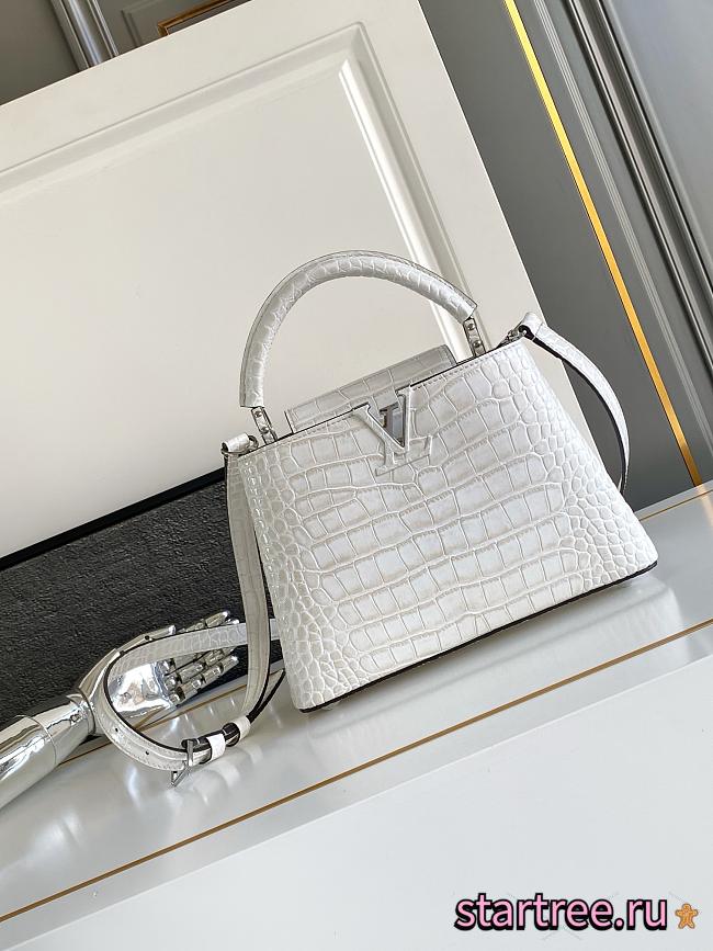Louis Vuitton Capucines PM M92173-27CM - 1