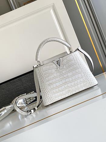 Louis Vuitton Capucines PM M92173-27CM